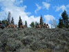 DSCN1274