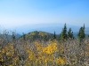 DSCN1306